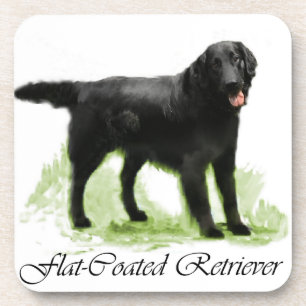 Flat-Coated Retriever Art Gifts Coaster