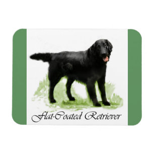 Flat-Coated Retriever Art Gifts Magnet