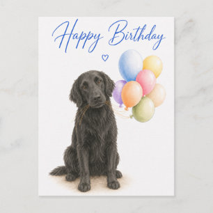 Flat Coated Retriever Birthday Postcard