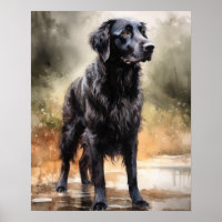 Flat Coated Retriever Dog Art Print Poster