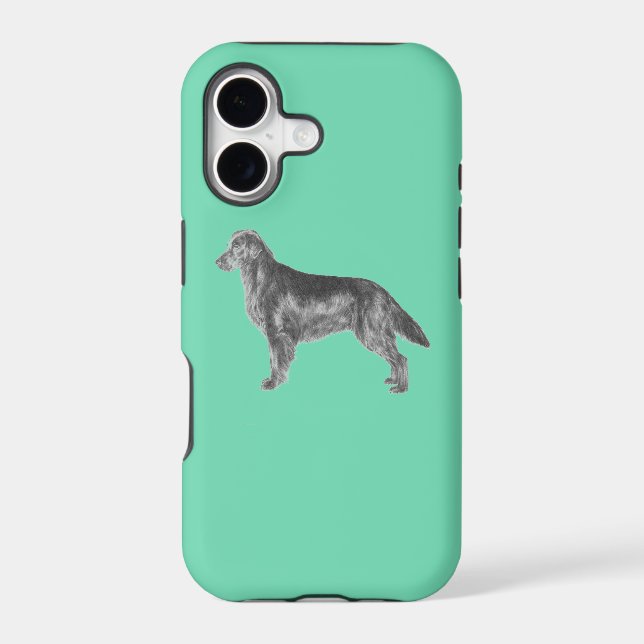 Flat Coated Retriever FCR (Back)