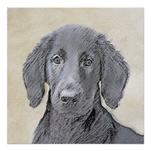 Flat-Coated Retriever Painting - Original Dog Art Poster