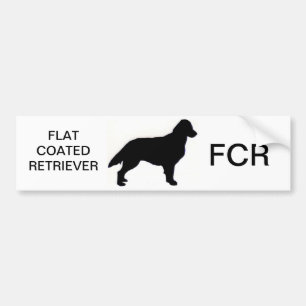 Flat-Coated Retriever silo Bumper Sticker