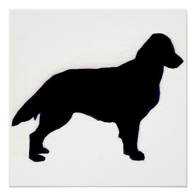 Flat-Coated Retriever silo Poster (Front)