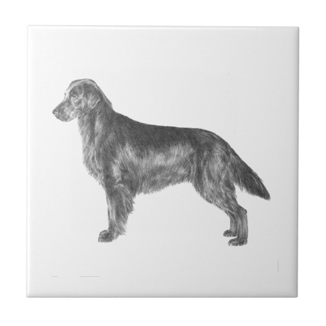 Flat Coated Retriever Tile (Front)