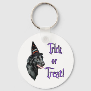 Flat-Coated Retriever Trick Key Ring