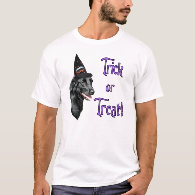 Flat-Coated Retriever Trick T-Shirt (Front)