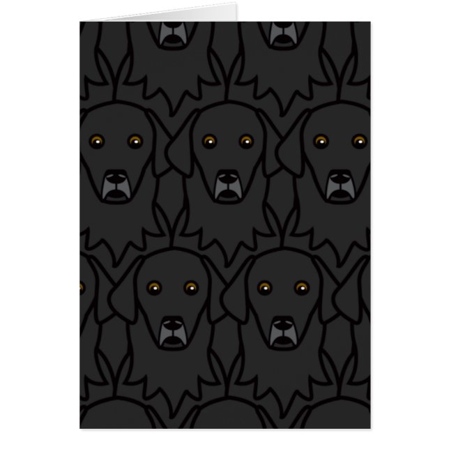 Flat-Coated Retrievers (Front)