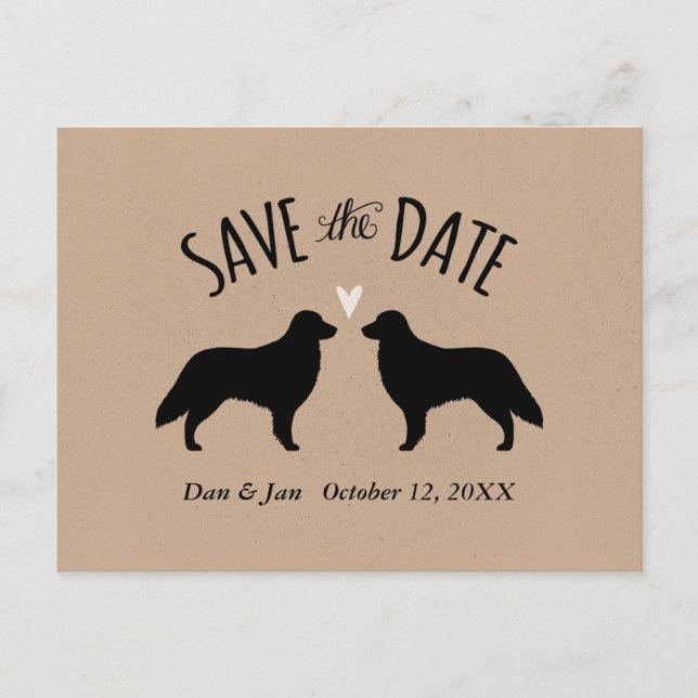 Flat Coated Retrievers Wedding Save the Date Announcement Postcard (Front)