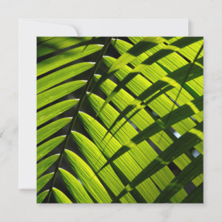 Flat Greeting Card featuring green palm leaves