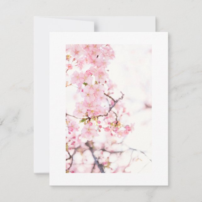 FLAT INVITATION CARD : CHERRY BLOSSOM BRANCH (Front)