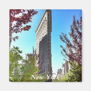 Flat iron, New York Magnet