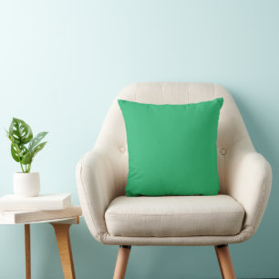 Flat Mint Green Texture Background for Design Cushion