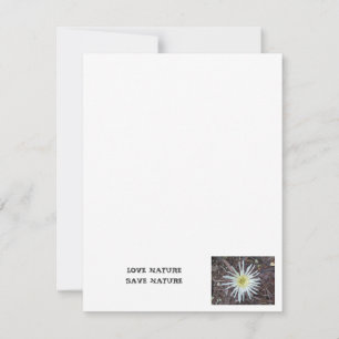 Flat Note Card