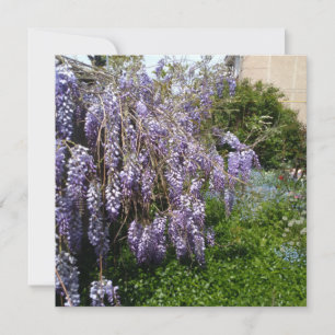 Flat Save the Date Wedding wisteria violet green