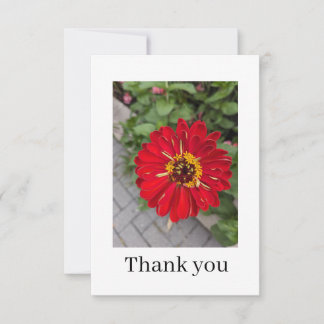 Flat Thank You Card