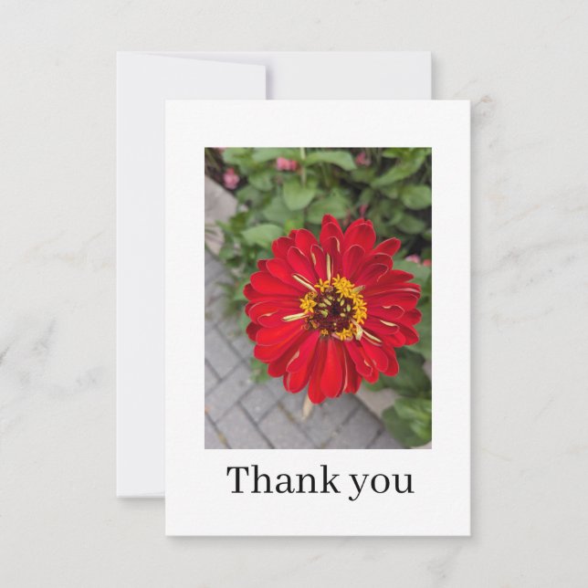 Flat Thank You Card (Front)