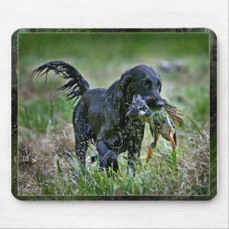 Flatcoated Retriever with duck Mouse Mat