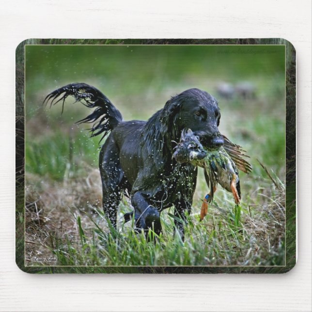 Flatcoated Retriever with duck Mouse Mat (Front)