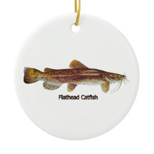 Flathead Catfish