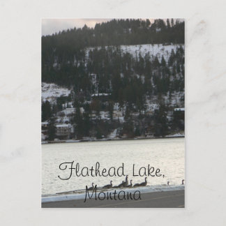 Flathead Lake , Montana Postcard