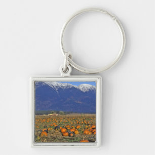 Flathead Valley Montana Pumpkin patch Key Ring