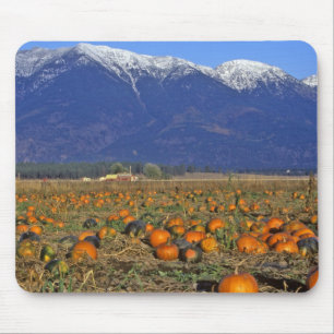 Flathead Valley Montana Pumpkin patch Mouse Mat