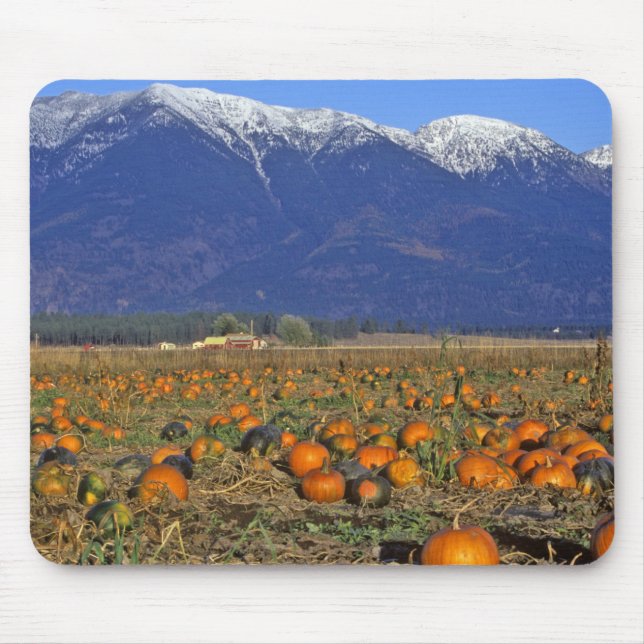 Flathead Valley Montana Pumpkin patch Mouse Mat (Front)