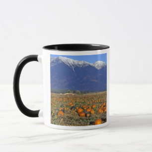 Flathead Valley Montana Pumpkin patch Mug
