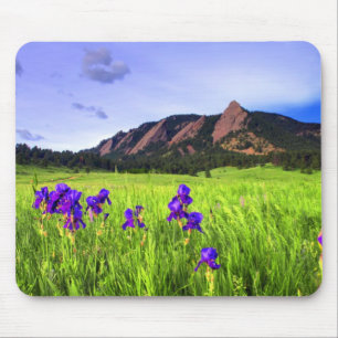 Flatiron Beauty Mouse Mat