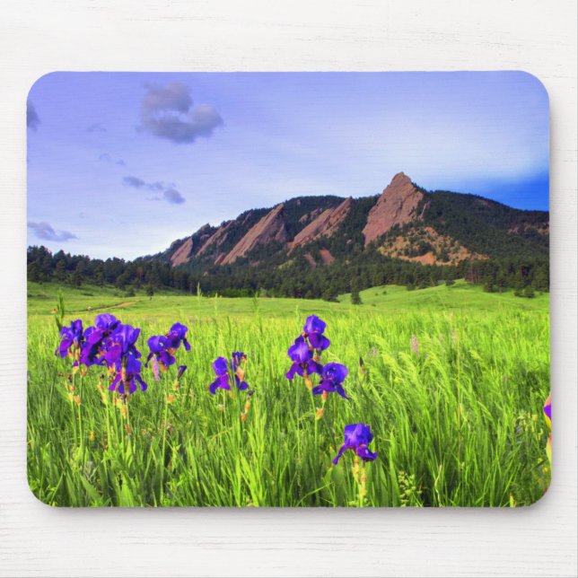 Flatiron Beauty Mouse Mat (Front)