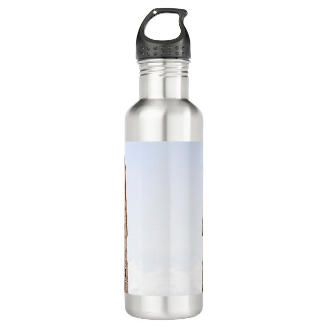 Flatiron building  710 ml water bottle (Front)