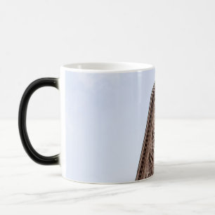 Flatiron building  magic mug