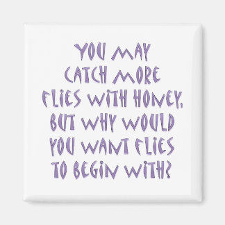Flattery gets you nowhere magnet