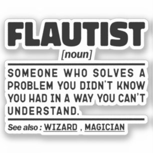 Flautist Noun Definition Professional Player Cool 