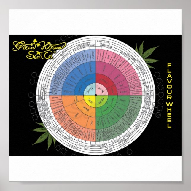 Flavour Wheel Poster (Front)