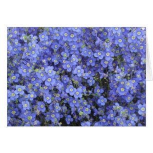 Flax Flowers at Longwood Gardens, Pennsylvania