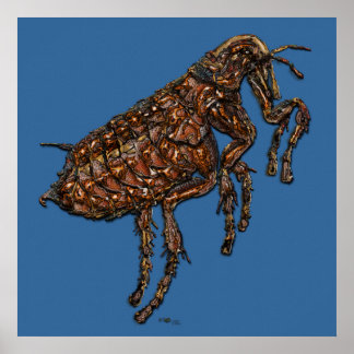 Flea on Blue Poster