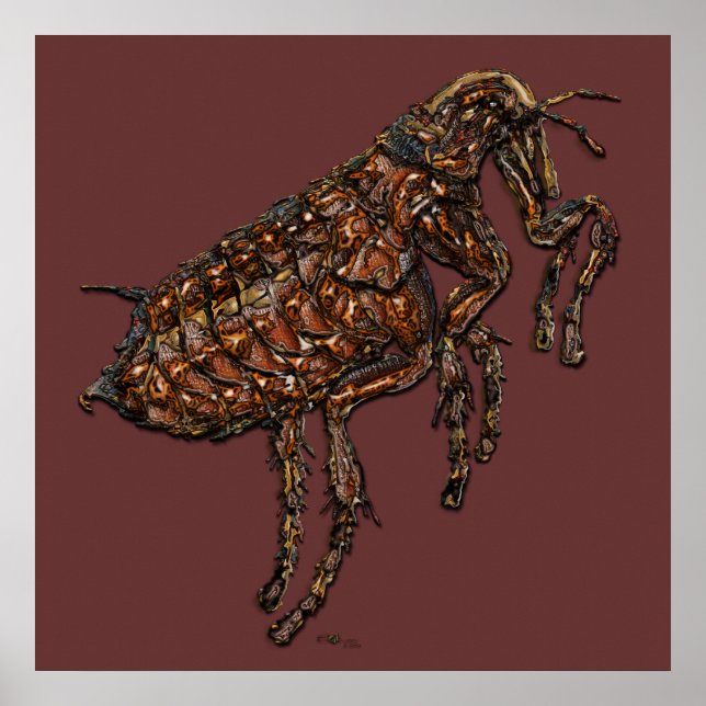 Flea on Dark Brown Poster (Front)
