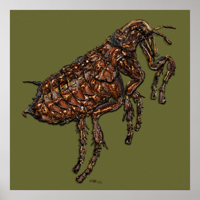 Flea on Dark Green Poster (Front)