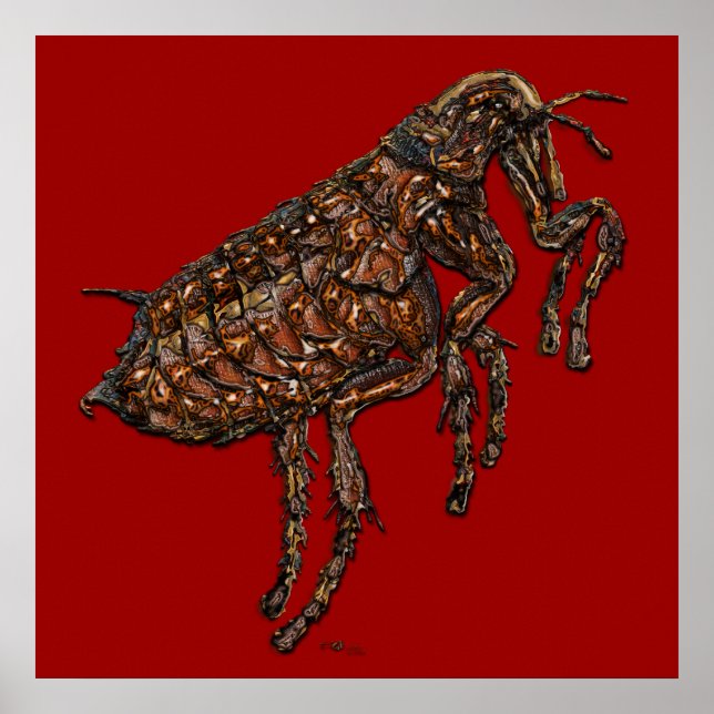 Flea on Dark Red Poster (Front)
