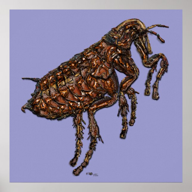 Flea on Lilac Poster (Front)
