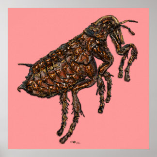 Flea on Pink Poster