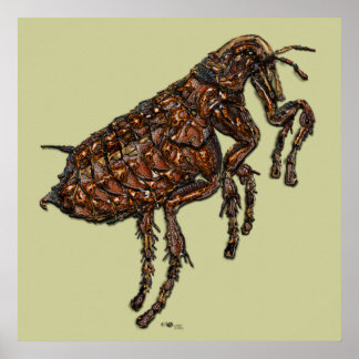 Flea Poster