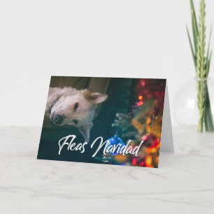 Fleas Navidad Funny Christmas  - YOUR DOG PHOTO Card