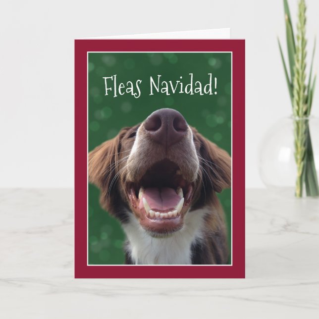 Fleas Navidad! Humourous Dog at Christmas Holiday Card (Front)