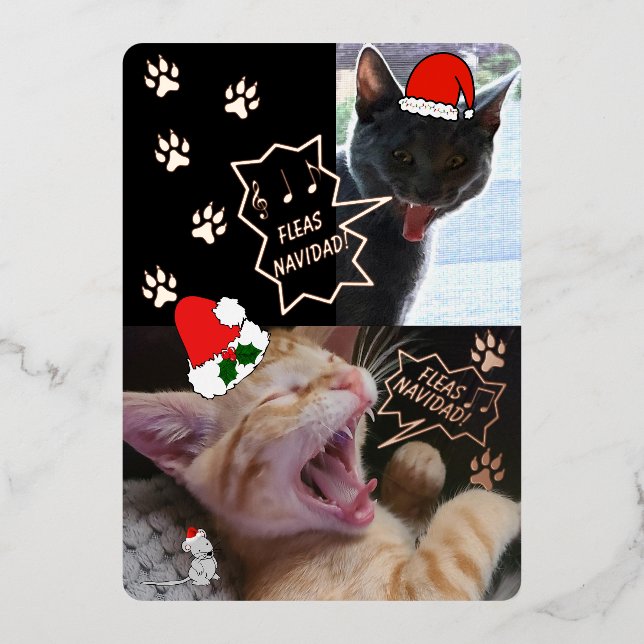 Fleas Navidad Singing Cats Christmas Greeting Card (Front)