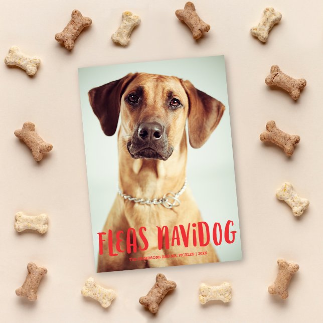 Fleas Navidog Cute Funny Dog | Holiday Photo Card (Creator Uploaded)