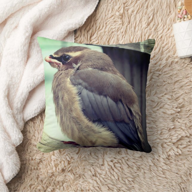 Fledgling Baby Cedar Waxwing Bird   Cushion (Blanket)
