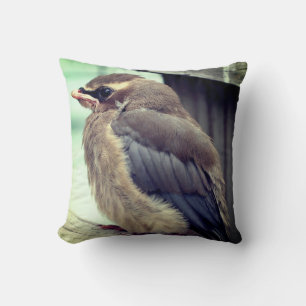 Fledgling Baby Cedar Waxwing Bird Cushion